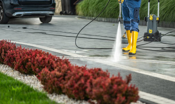 Best Local Pressure Washing Services  in Rock Falls, IL